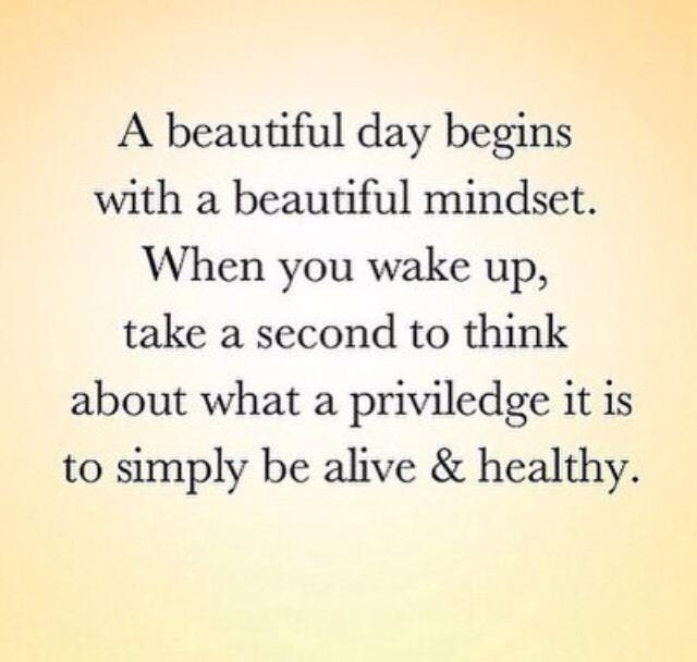 ShowoffByDesign's tweet image. 