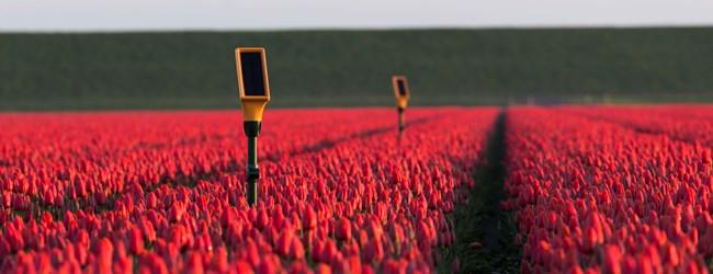 Drones y sensores toman la huerta buff.ly/1fg75bt