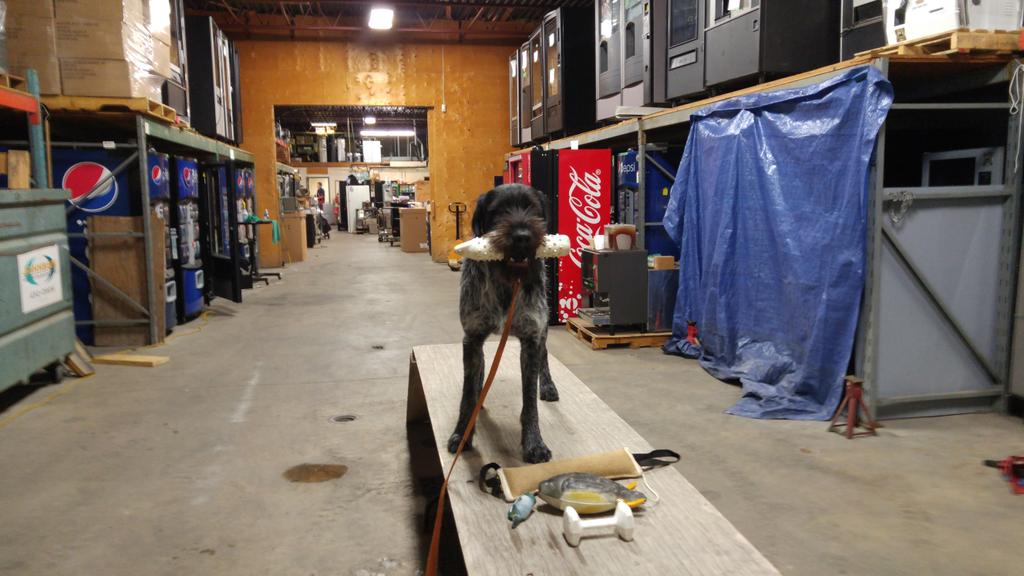 wirehairhunts's tweet photo. This #forcefetch brought to you by #coke and #pepsi. http://t.co/8CxExmSjSt