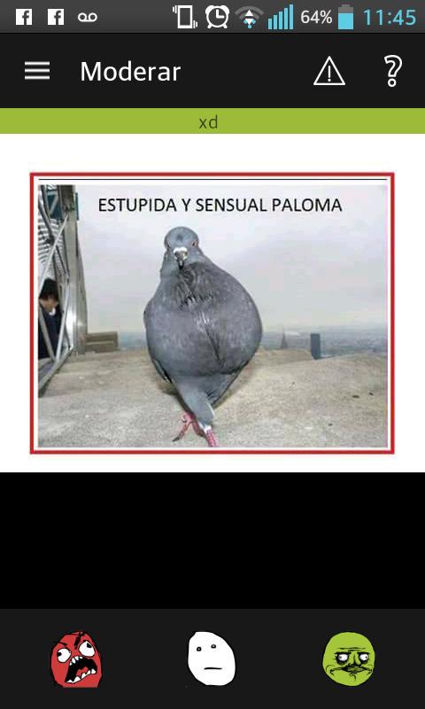 MemedroidEs's tweet photo. http://t.co/OVd9B2ssWF