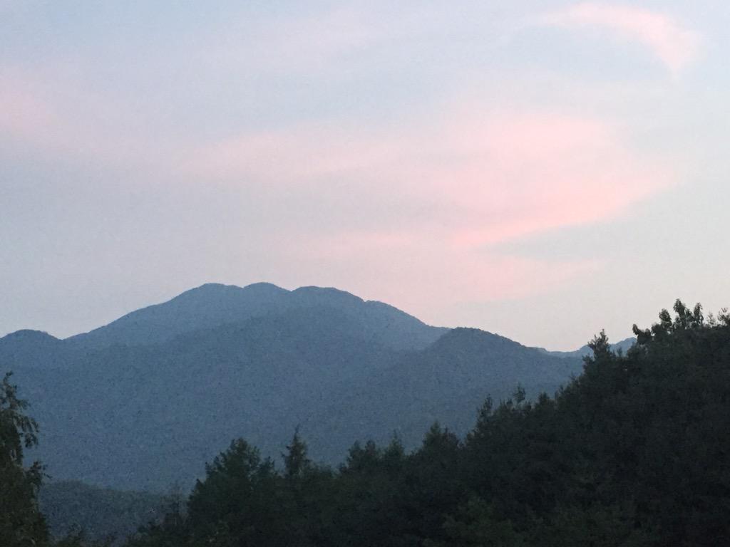 wonsoonpark tweet picture