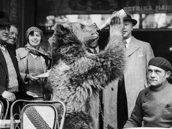 Permalien de l'image intégrée