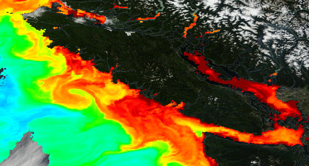 DiscoverMag's tweet photo. A record-breaking algae bloom is stretching from Southern California all the way to Alaska: http://t.co/1039tslECl http://t.co/a5tS83nXy0