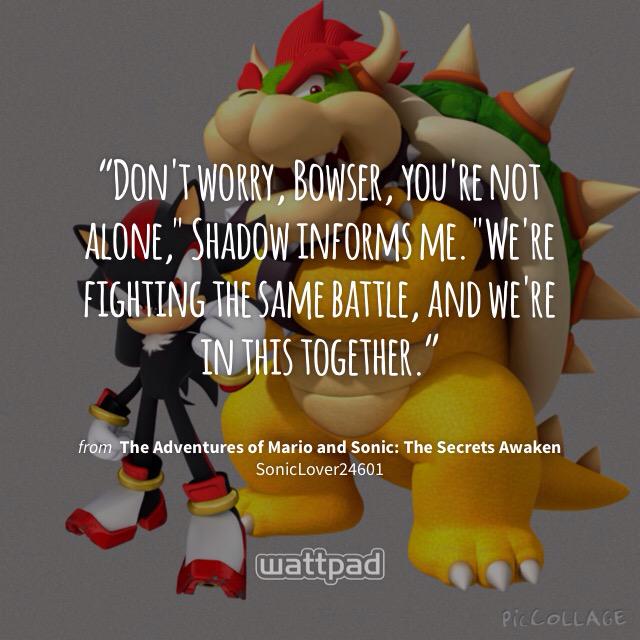 MeowyMakes's tweet photo. Just a little quote from #TAMSTSA that Shadow says to Bowser at the end of my most recent chapter. #ShadowQuotes http://t.co/Xb4LhC4Aok