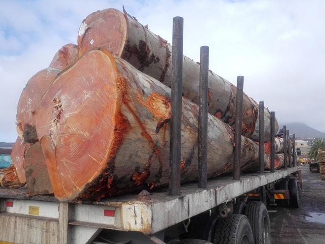 Welcome to a wonderful world  wood where size matters. Enjoy the long weekend.
#update #wood #timber #lumber