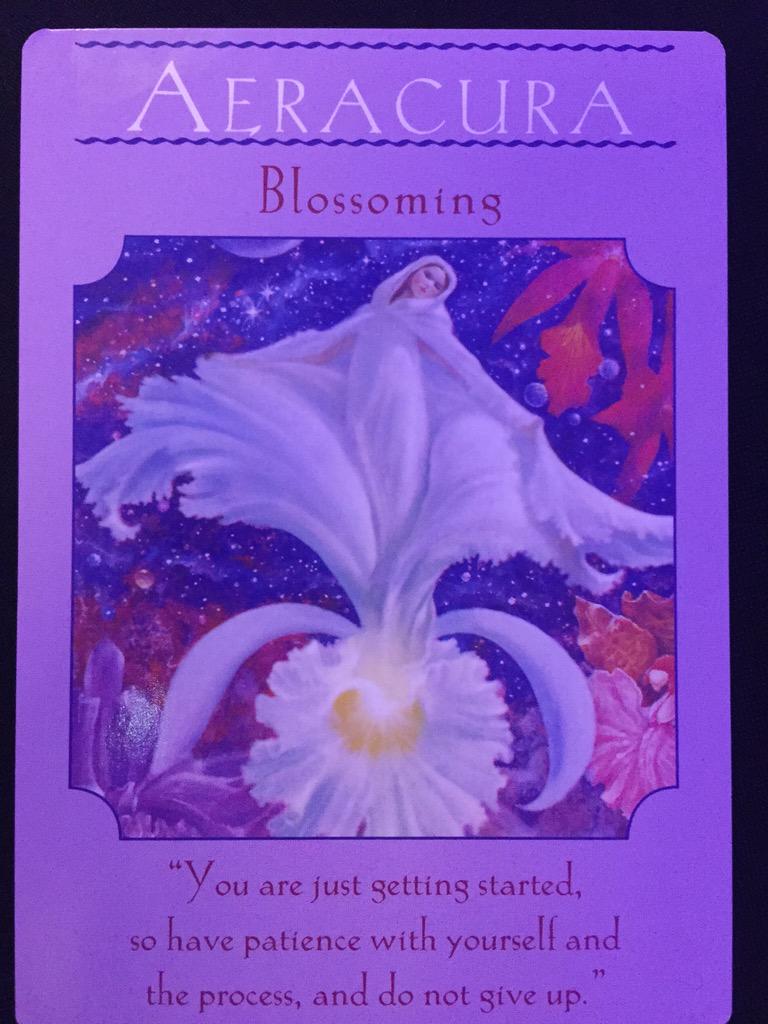 artfulassistant's tweet photo. Here's my message from the universe today! Just what I needed to hear! #eWNConf #2yoursuccess @sandrayanceyEWN http://t.co/2xEnr8EMIh