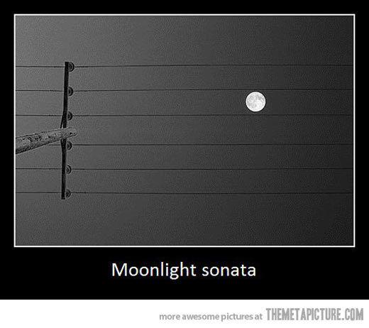 Opera_North's tweet photo. Goodnight, sleep tight.

#Moonlight #Sonanta http://t.co/cvI9gKZpx2