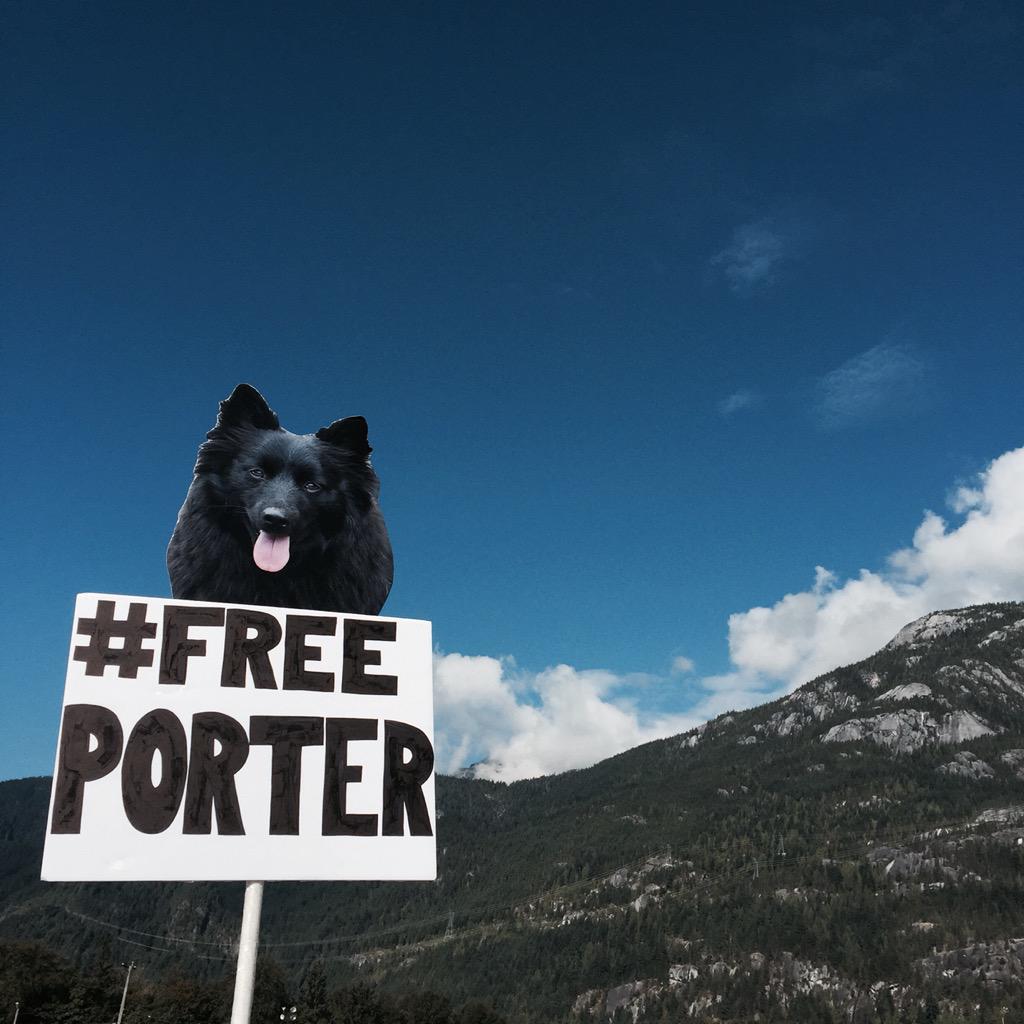 dirtyearthchild's tweet image. #freePorter @squamishfest #SVMF