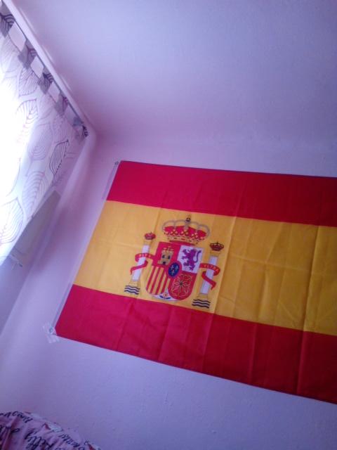 SuarezAlema's tweet photo. Soy mas española que los toros √ http://t.co/g3Lygvq0jO