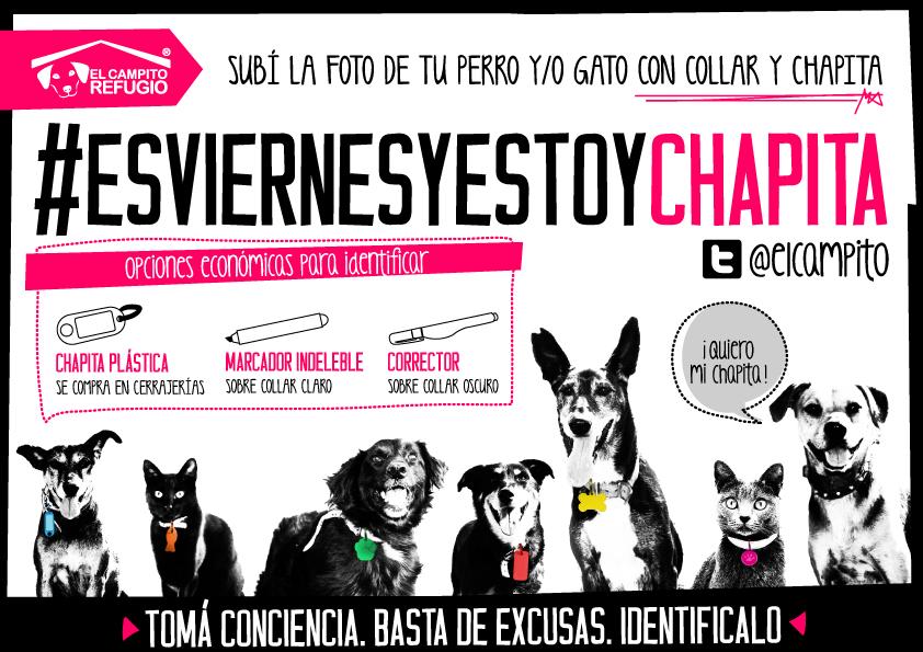 elcampito's tweet photo. #EsViernesYEstoyChapita!
Subí la foto de tu perro/ gato IDENTIFICADO!
Concienticemos juntos. http://t.co/PBFMjl9FyR