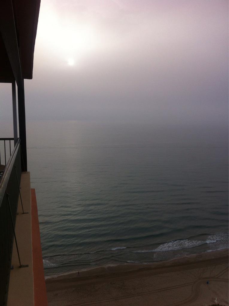 manelalbarran's tweet image. #mareny #paz #silencio #findelmundo #cafe