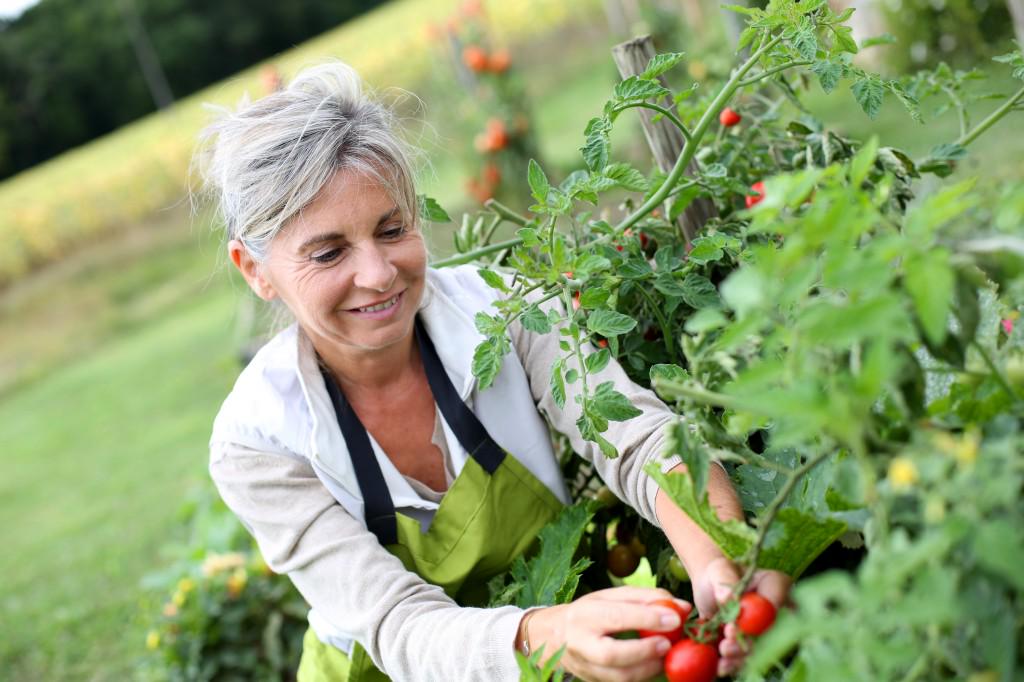 #LivingWithCancer: #Gardening restores the body and soul mayocl.in/1IqKdQy