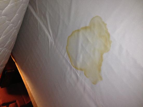 alexrocchi88's tweet photo. Your Guide On How To Get (Clean) Urine Smell Out Of A Mattress? Read more at here: http://t.co/A7zMwLsotb http://t.co/bH7eDYpKjQ