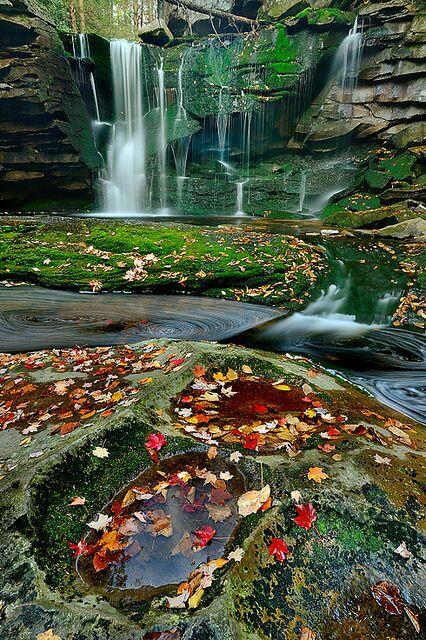 lee316's tweet photo. Blackwater State Park, West Virginia

Lovely park in West Virginia. How I love to visit this place. #worldventures http://t.co/HBKs8dwqHQ