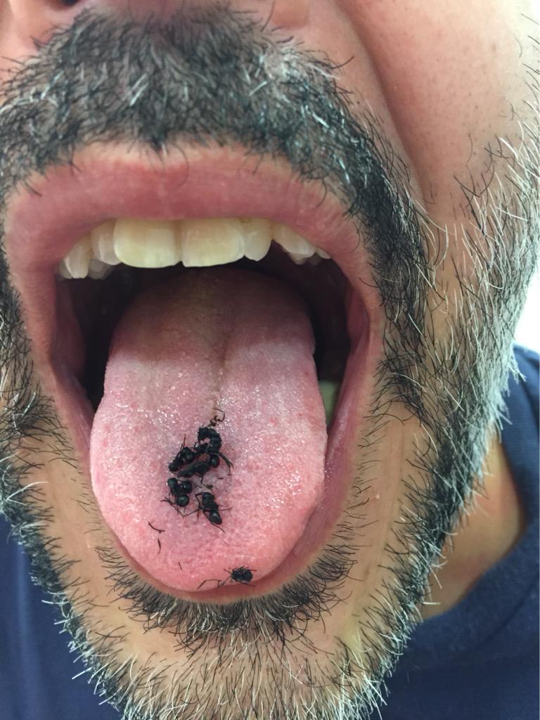 rosenrod's tweet image. Disfrutando el premio de #FearTWD #InsectPower