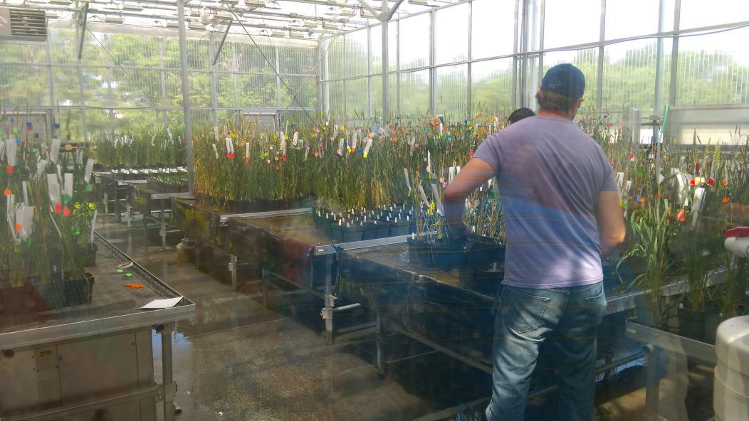 Lachlan Nass tweet media