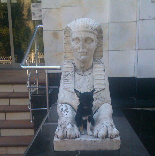 LibraryNUOLA tweet picture