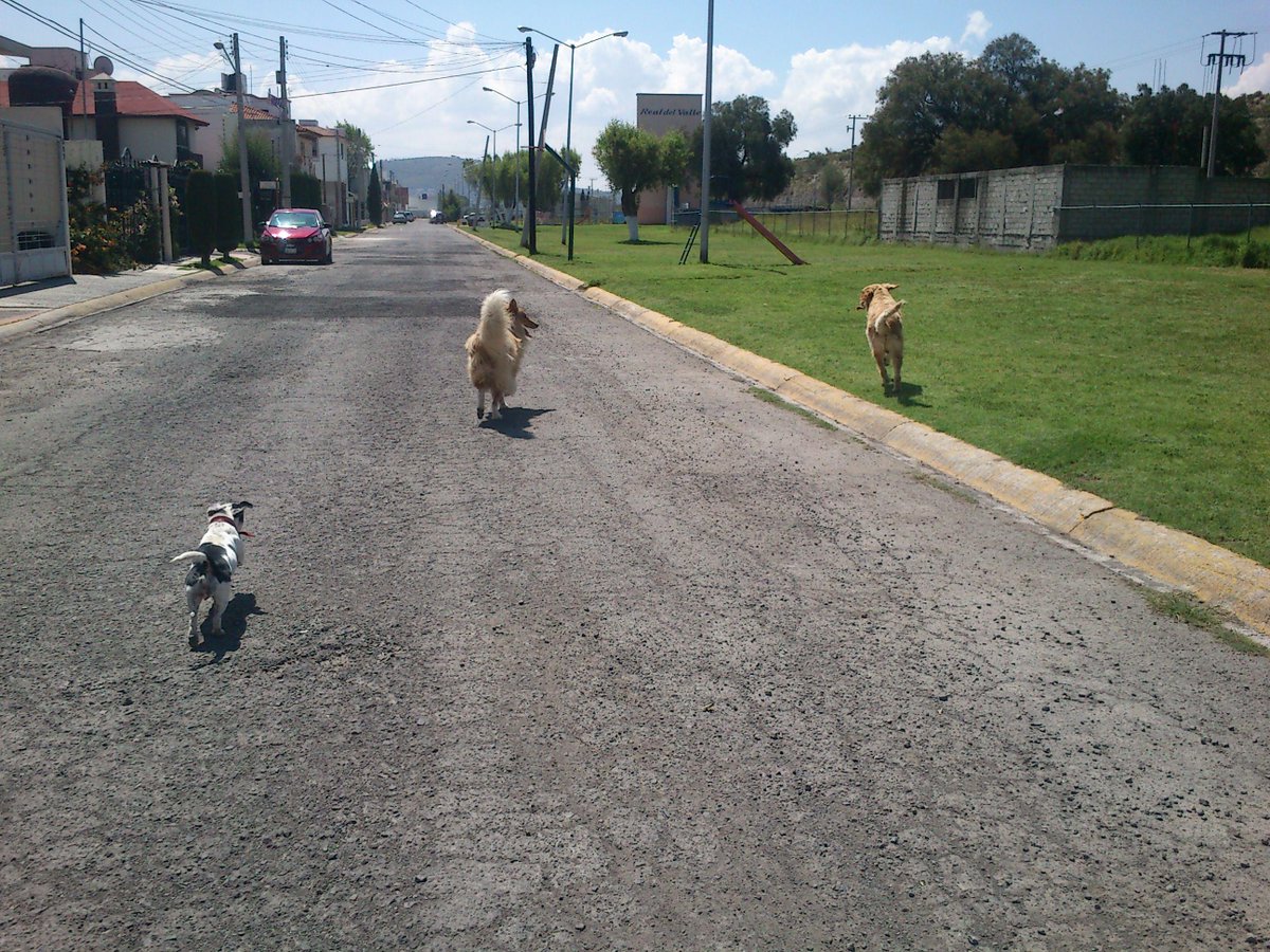 AnverKings's tweet photo. Nada como correr con amigos <4 http://t.co/mDdUUDAa4p