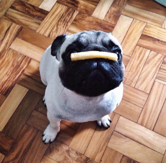 EpicMealTime's tweet photo. Happy #FryDay! http://t.co/tJhhhXro5n