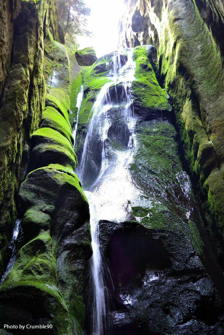 lee316's tweet photo. A waterfall in Adršpach-Teplice Rocks, Czech Republic.  #waterfall #landscape #nature #czech http://t.co/Mjbgz1hiGp