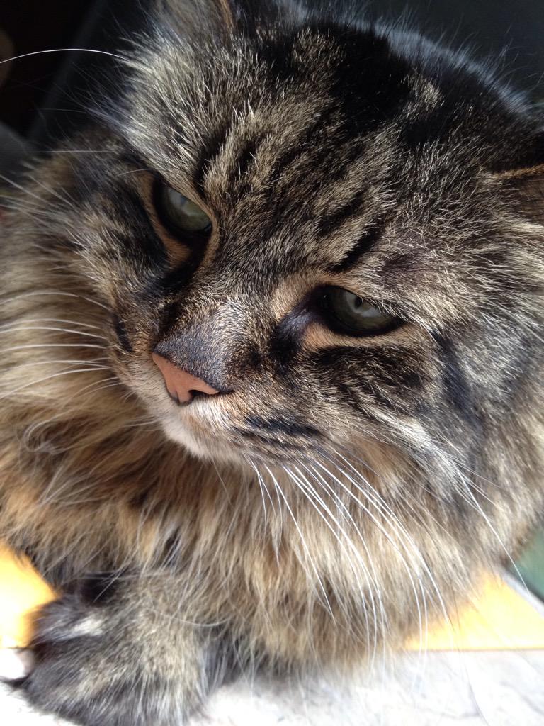 SimpleScience2's tweet image. Hi