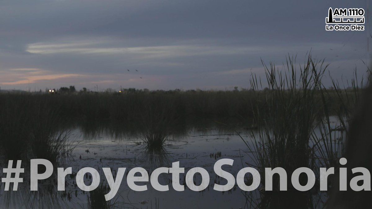 La Once Diez (@laoncediez) on Twitter photo ¡Escuchá <a href="/noepucci/">Noelia Pucci</a>! #ProyectoSonoria en versión audiovisual BACK: bit.ly/NoePucciBack VIDEO bit.ly/NoePucciVideo ¡Escuchá <a href="/noepucci/">Noelia Pucci</a>! #ProyectoSonoria en versión audiovisual BACK: bit.ly/NoePucciBack VIDEO bit.ly/NoePucciVideo
