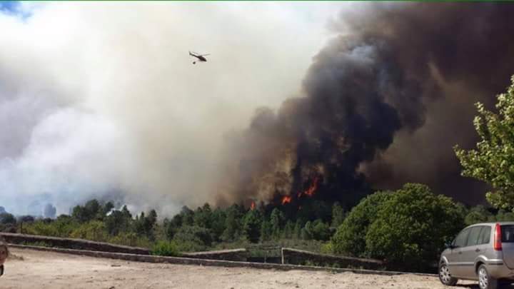PodemosBadajoz's tweet photo. Dolorosas imágenes del incendio en #SierraDeGata ... Esto es una catástrofe. :( http://t.co/Wv7BUWHJrp