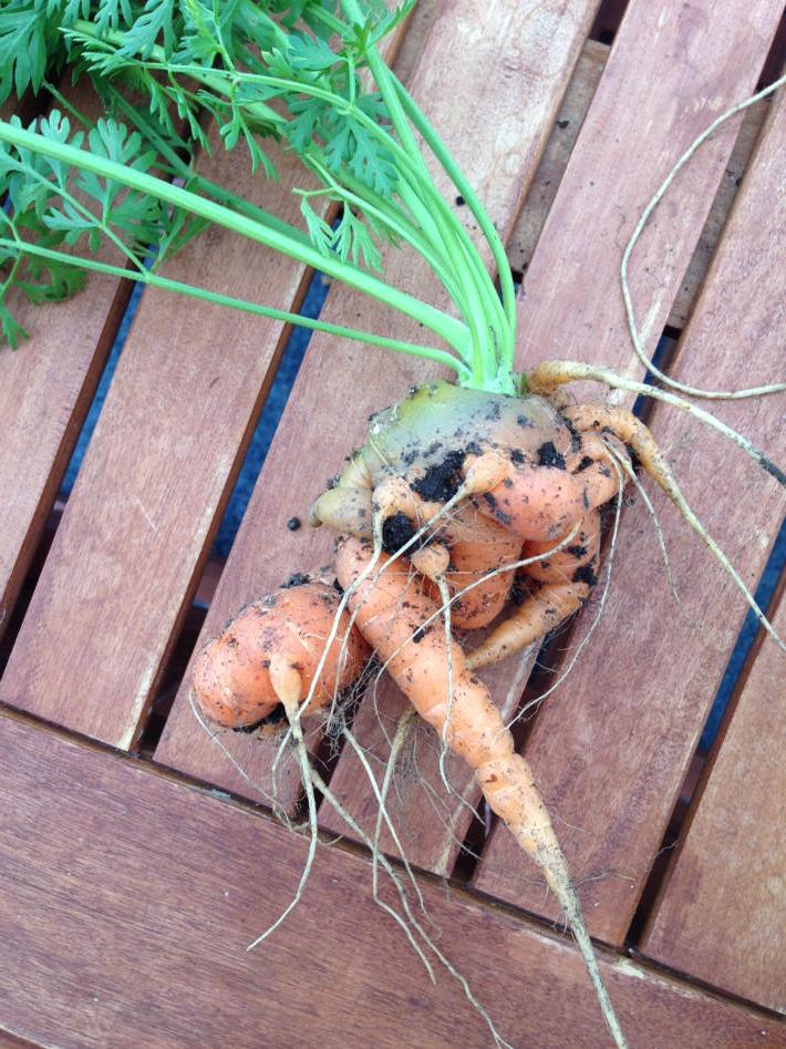 Wayde Brown tweet media