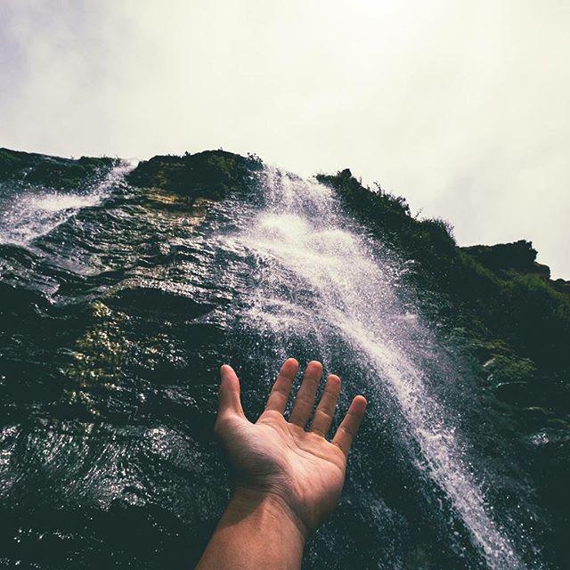 Pacific Snacks tweet media