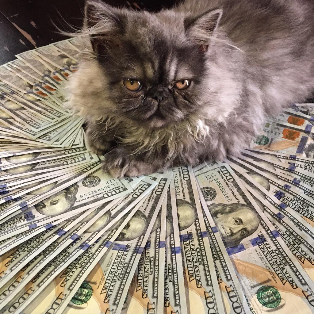 Денежный кот