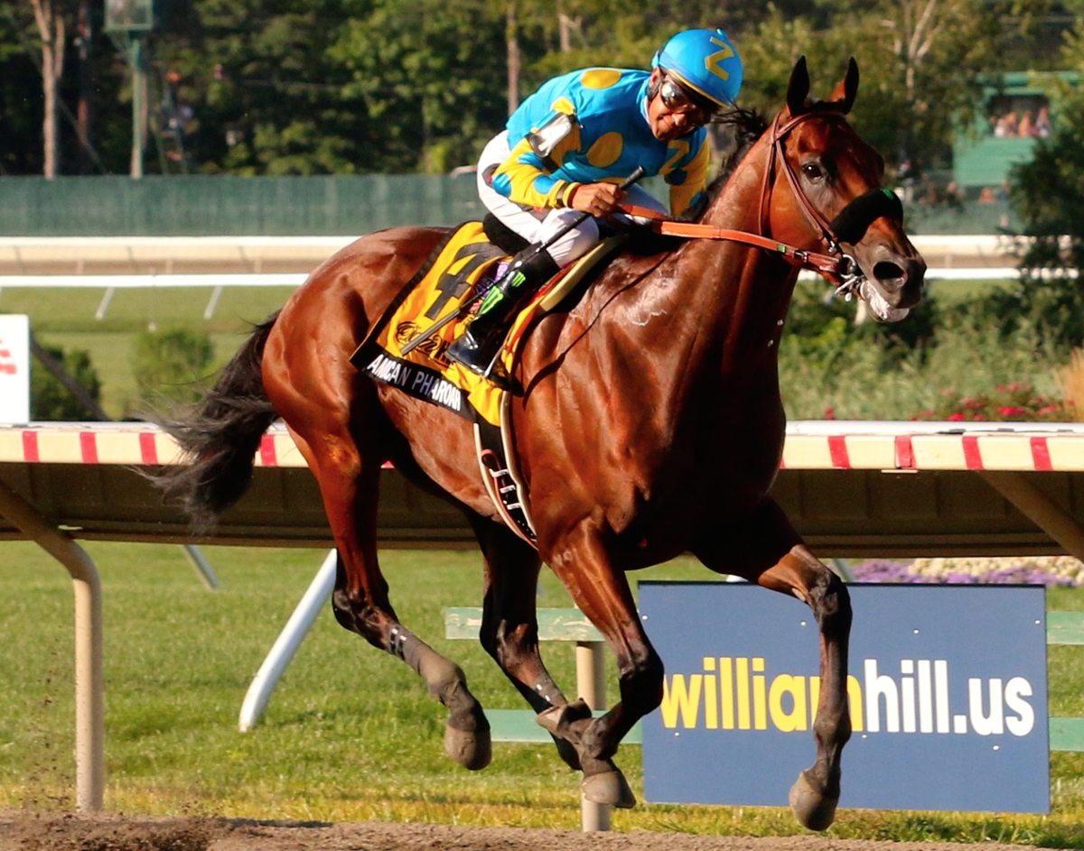 ABRLive's tweet photo. #flashbackfriday to #AmericanPharoah's dominant #Haskell2015 victory at @MonmouthPark last Sunday! http://t.co/kOE2HSCf99