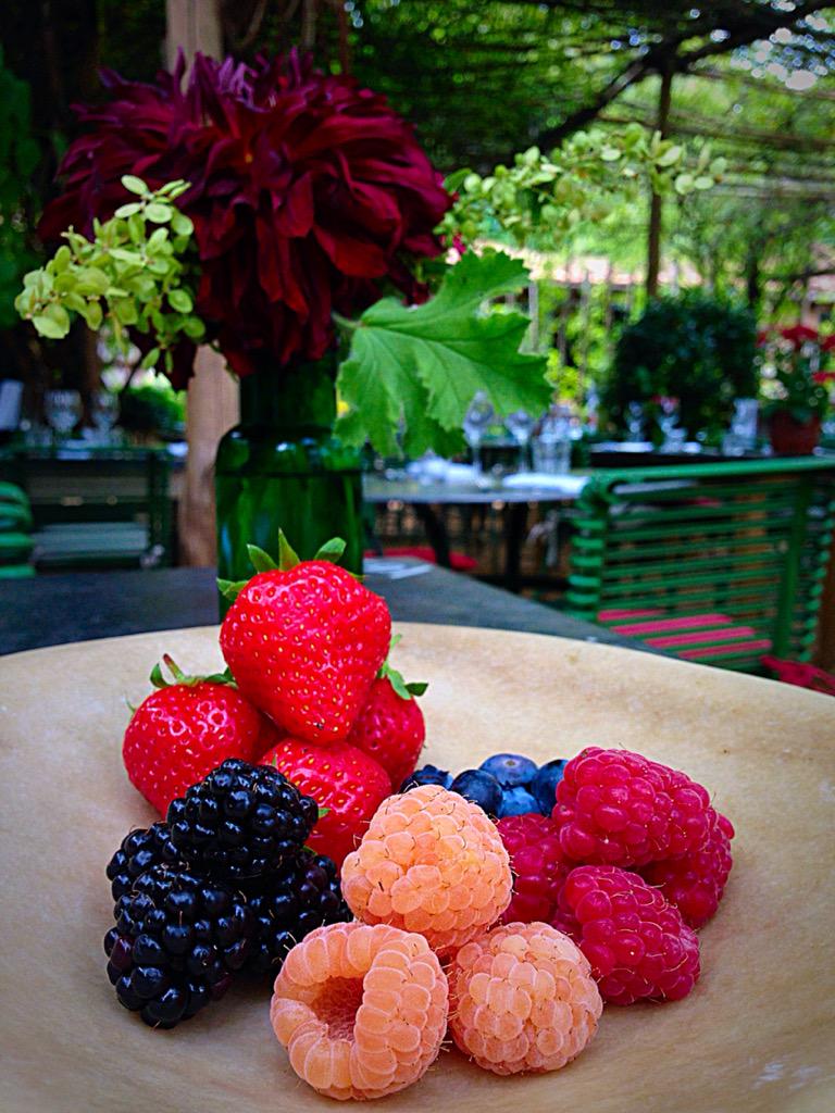 #SummerBerries / <a href="/Lemarchefg/">Le Marchélimited</a> / <a href="/PetershamN/">Petersham Nurseries</a> / #London
