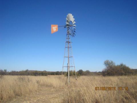 maggienemuta's tweet photo. Nylsvlei nature reserve http://t.co/uVMVl2sXZB