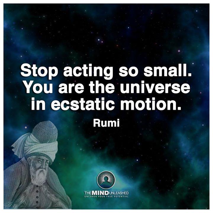 LProbabilities's tweet image. 