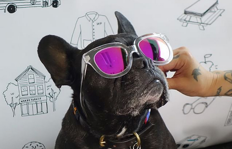 Love at first sight. Shop Pop-In@Nordstrom x <a href="/WarbyParker/">Warby Parker</a>. #nordstrompop bit.ly/1NfY4dS