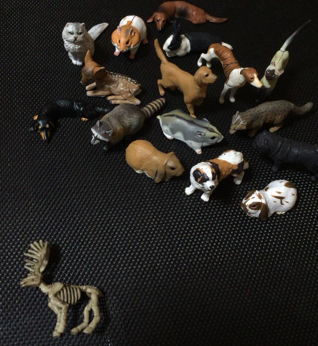 ぽとぽとライオン 昔のチョコエッグの動物などを沢山もらった長女が 次女に自慢している かわいいでしょう 要らないのもあるから あげようか 骸骨のトナカイ いる って 極悪すぎる Http T Co Nvfao6dtfz Twitter