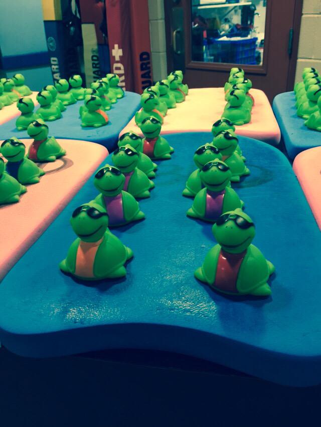 Turtle races at Oak Brook Park District. #turtleraces