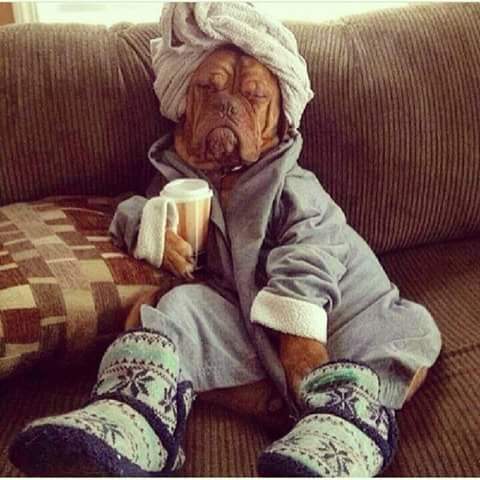 Bluenotnice's tweet photo. #BPLwhileYouWereAway weekends were like http://t.co/YoEzkt4TgD
