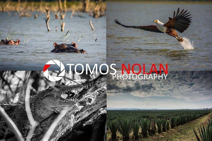 TomosNolanPhoto's tweet photo. A few photos from Baringo, Kenya.  #photography #wildlife #Africa #Kenya #Baringo http://t.co/bZTrJbNqen