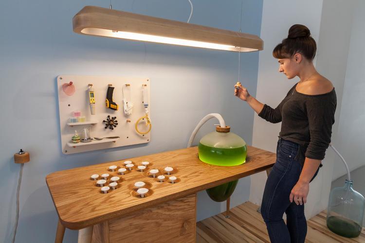 The future of home decor is...edible bioluminescent algae: f-st.co/Kk3JkUc
