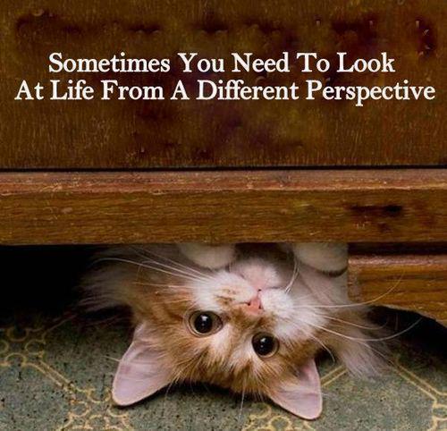 Sometimes you certainly do.........