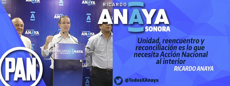 TodosXAnaya's tweet photo. Vamos por un PAN Unido, esa es la fuerza que necesita el nuestro partido @RicardoAnayaC con medios sonorenses http://t.co/CoPBZ2NwYN