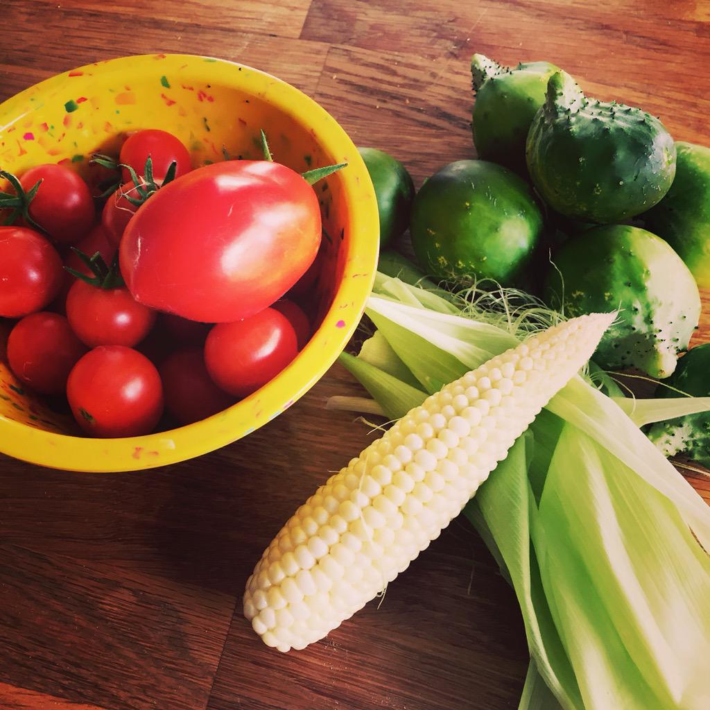 asketchyfish's tweet photo. Today's garden picking! #bugtree #gardentotable http://t.co/Y0cvRWVpFS