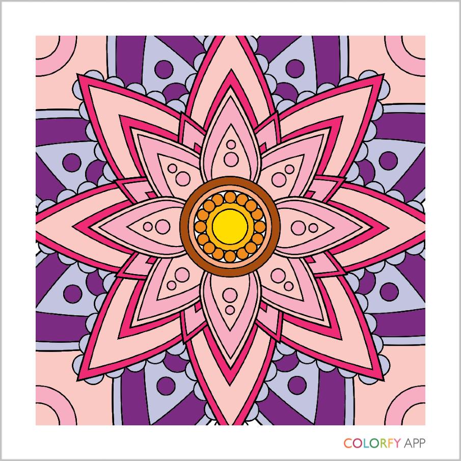 Georgie Strang tweet media