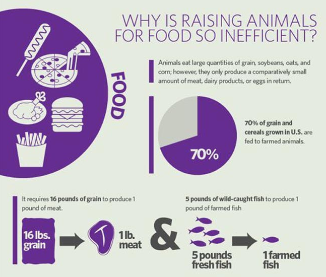 Cowspiracy tweet media