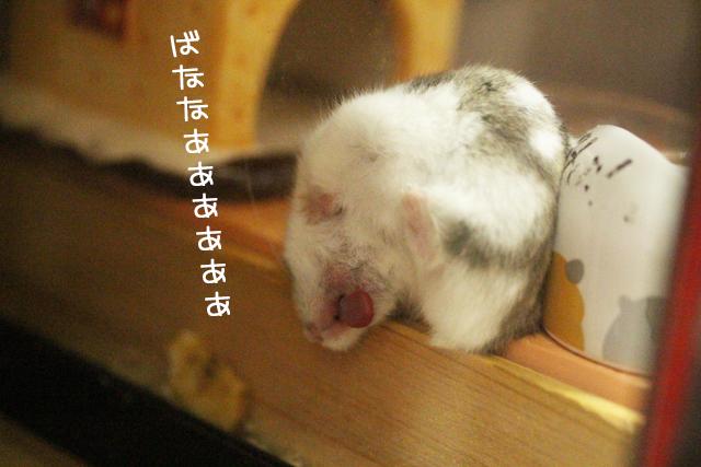 higu_char tweet picture