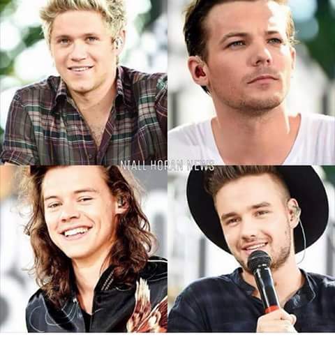 T34MxX's tweet photo. RT porfa! #Let1DBe #WeSupportLouis #WeSupportNiall #WeSupportHarry #WeSupportZayn #WeSupportLiam http://t.co/VtPv0tHXtv
