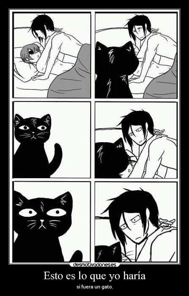 okumura_shiroi's tweet photo. Si yo fuera un gato =^-^=… http://t.co/RhUMJg0iNM