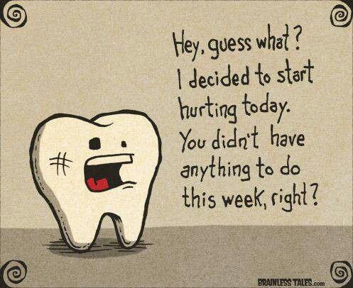 Schedule an appointment!