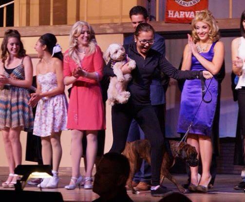 LegallyDogs's tweet photo. BOWwow! 😉🐾
#btcpuppyparty #keepitpawsitive http://t.co/tj8cxOXTL8